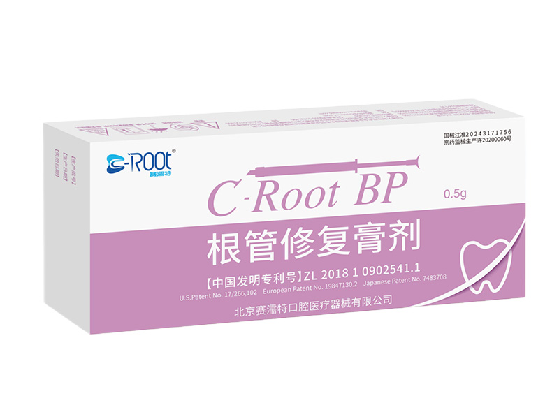 C-Root BP根管修复膏剂